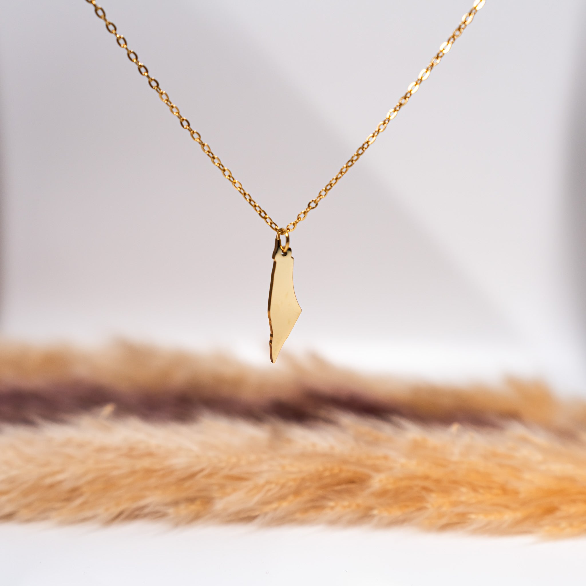 Palestine Map Necklace - Salaam Gallery – IslamiCity Bazar
